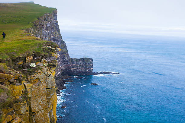Best Time to Plan a South Africa Safari Trip with Cape Town Travel