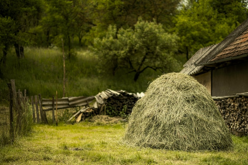 A stack of hay in the foreground, with trees and part of a house behind it. Photo by Victor Serban on Unsplash.