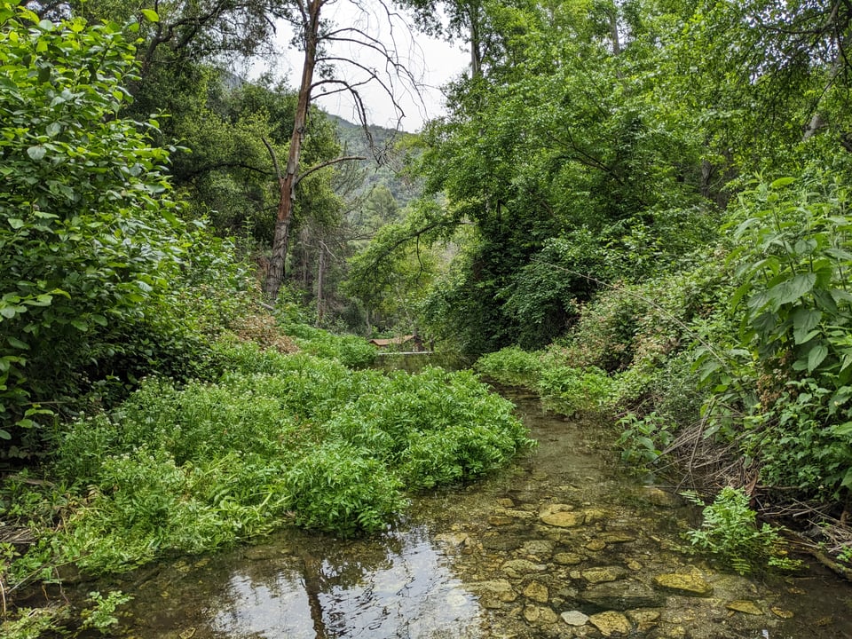 A photo of Chantry Flats in the Angeles National Forest. A small stream runs through a lush, verdant forest. There are mountains in the distance.