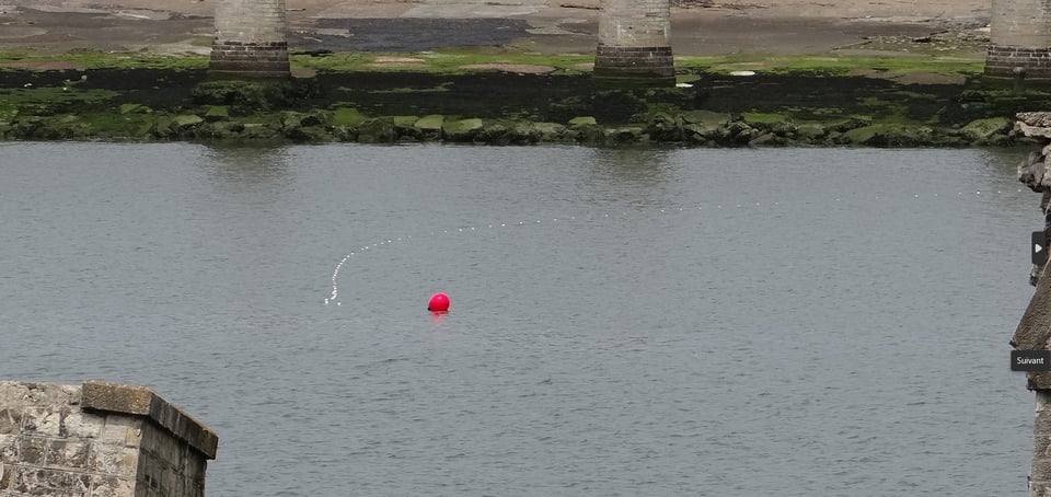 Filet dérivant sur l'Adour maritime (Anglet, France)