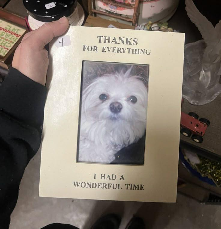 thanks for everything I had a wonderful time