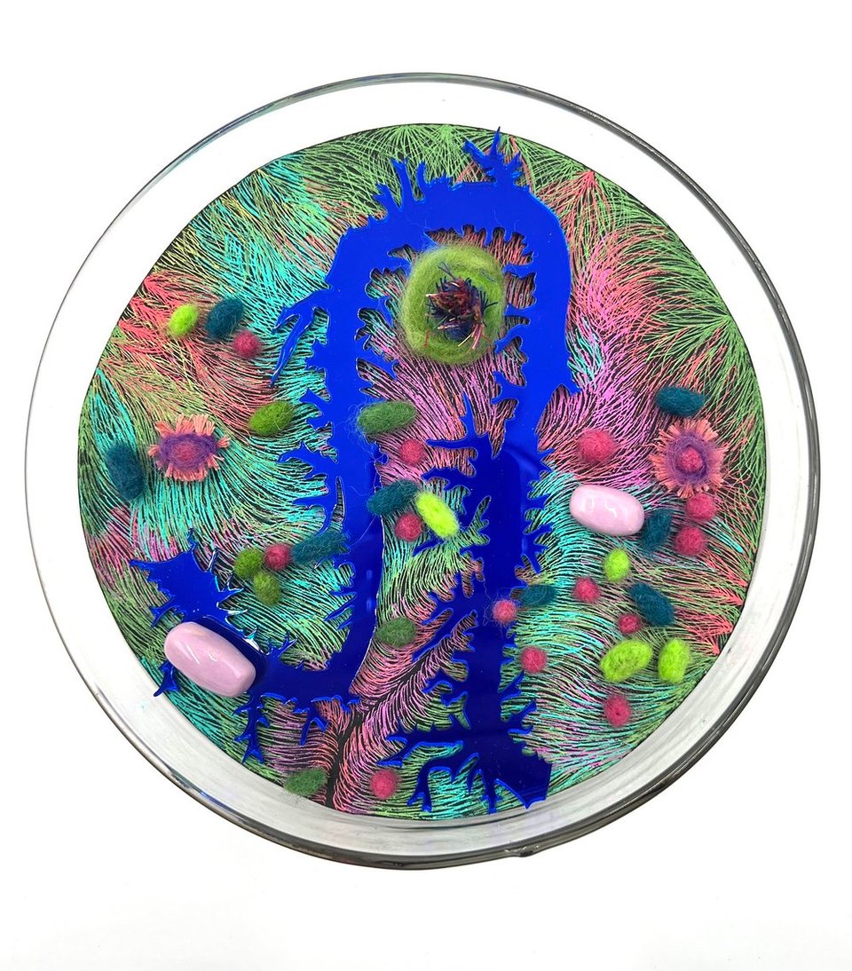 Sarah Hearn's piece titled Isolated Culture 54. 8” glass petri dish with ceramic and felted microbes sitting atop a drawing on black paper, 2024. Click image to view source.