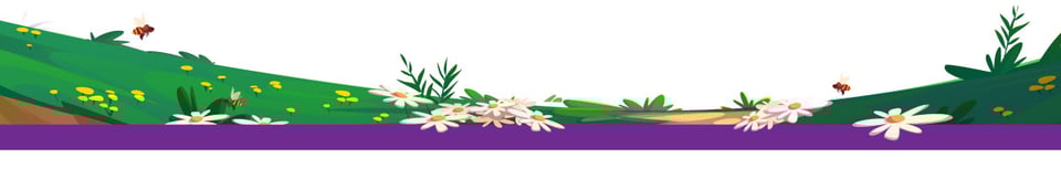 a footer image of a grassy landscape with a path in the middle and white flowers and bees on either side.