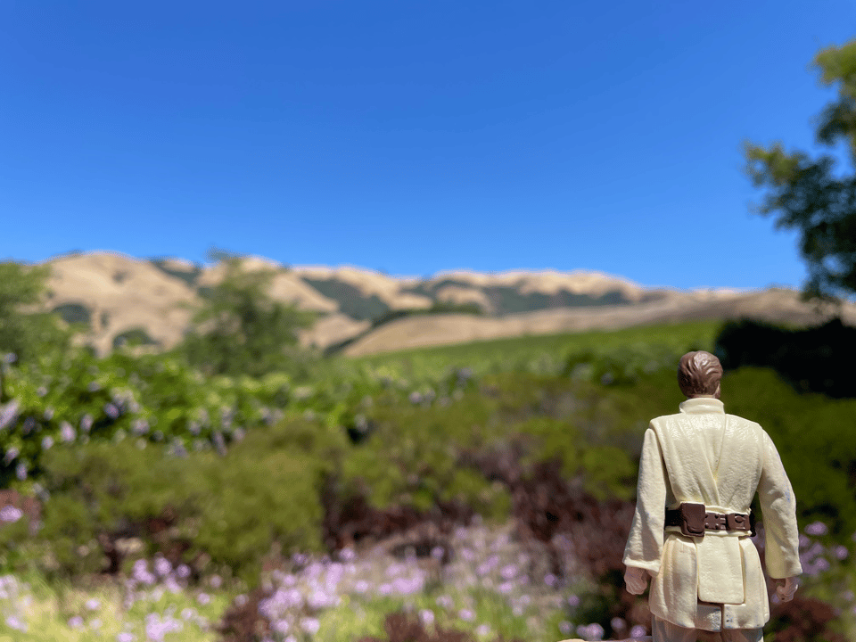 An action figure of Obi-Wan Kenobi stares off at rolling green and yellow hills