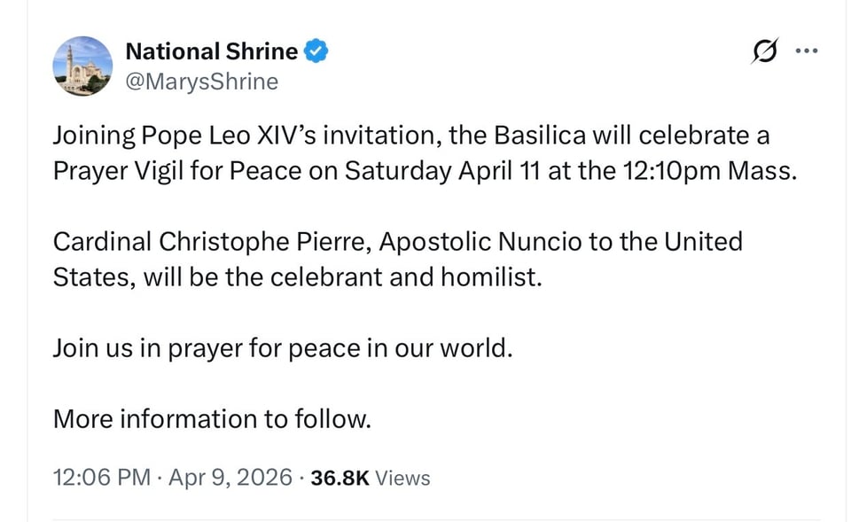 The Pope knows how to play hardball.very hard ball.