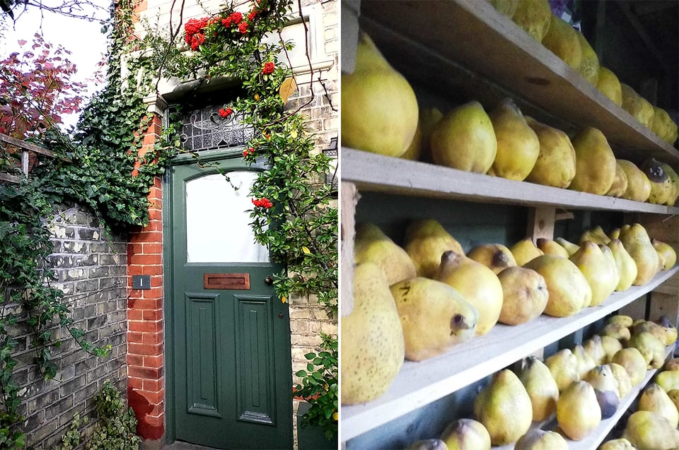 two digital Instax images: left, a doorway surrounded by holly; right, shelf after shelf of quinces