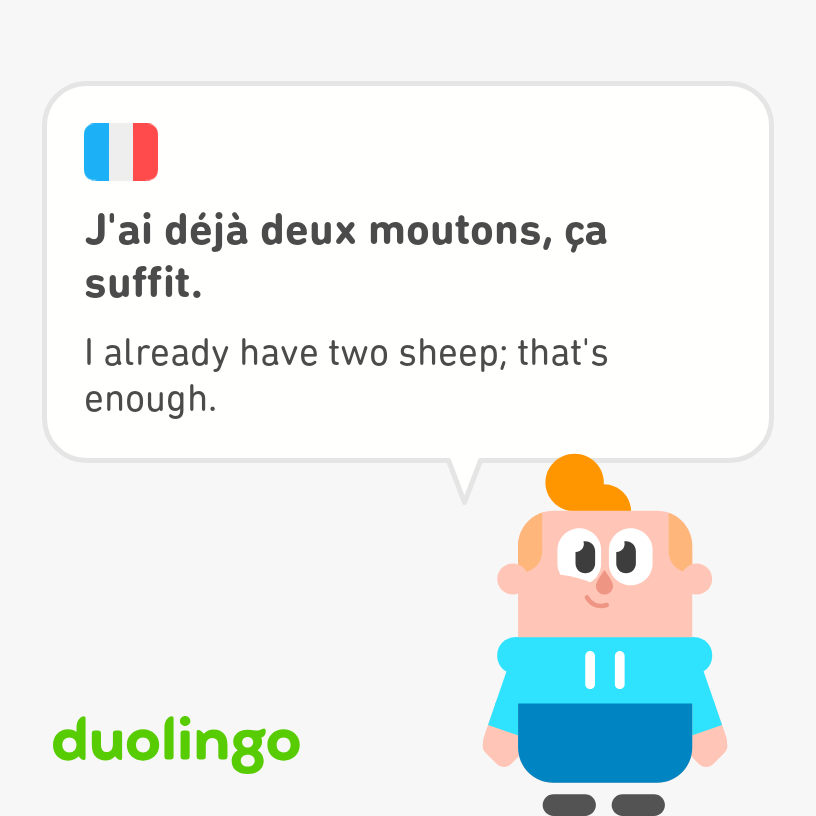 Junior, the young boy with a blue hoodie and an orange topknot from Duolingo says, "I already have two sheep; that's enough," in French and English.