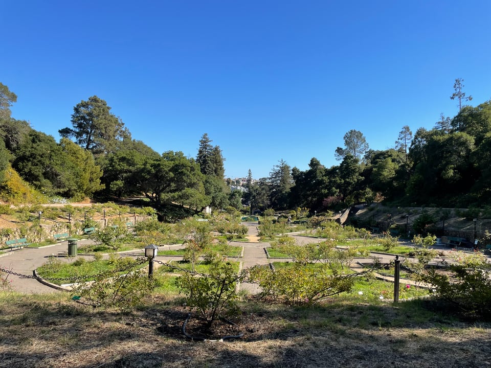 an oval-shaped part of a rose garden seen from slightly above, with a branching path of concrete walkways. The scene is surrounded by trees and a blue sky