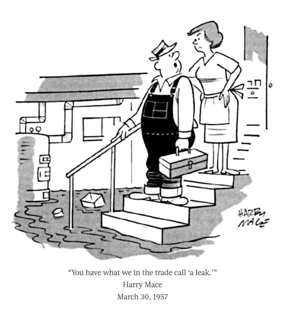 Comic of a man speaking to a woman on the stairs to a basement flooded with water and floating boxes. Caption: "You have what we in the trade call 'a leak.'"