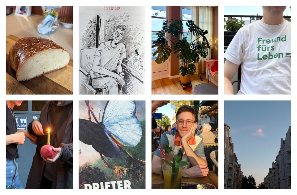 Collage aus dem Juni: Ein gebackener Zopf mit Sesam, eine Zeichnung, Selfies, eine große Monstera