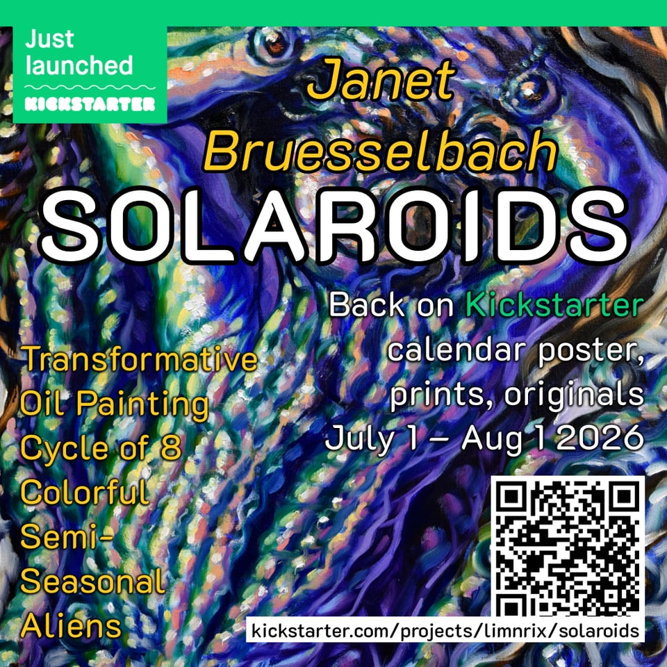 Solaroids Kickstarter 7/1-8/1