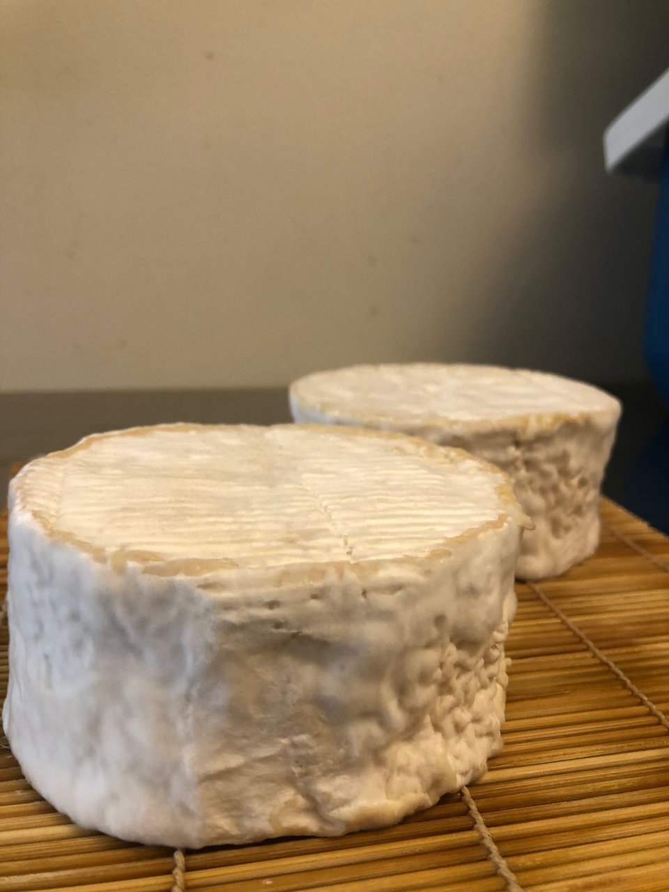 a closeup of two small white cheeses with furry, wrinkly white bloomy rinds on a bamboo drainage mat
