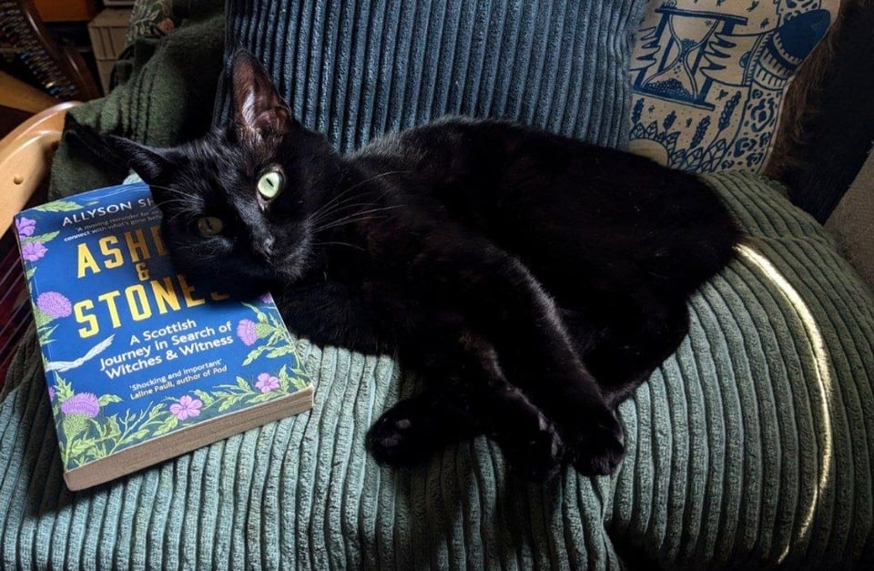 Picture shows a small black cat with pale green eyes lying on a heap of cushions in shades of teal. Her head is pillowed on a paperback copy of Allyson Shaw's book Ashes & Stones.