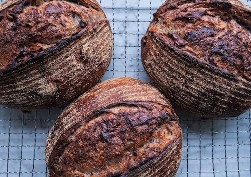 Three scalded rye and walnut loaves photographed from above.
