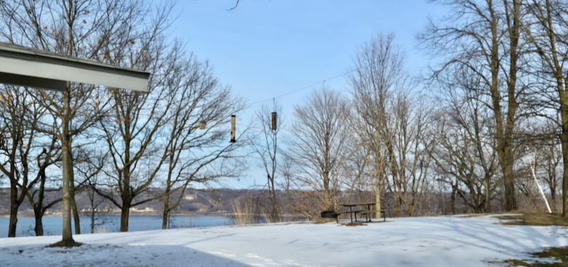 The park has also received state Department of Natural Resources funding to install a variety of bird feeders near the main picnic shelter. You’ll see some feeders going up in the area over the next few weeks. Enjoy the show! / Photo by Steve Dietz