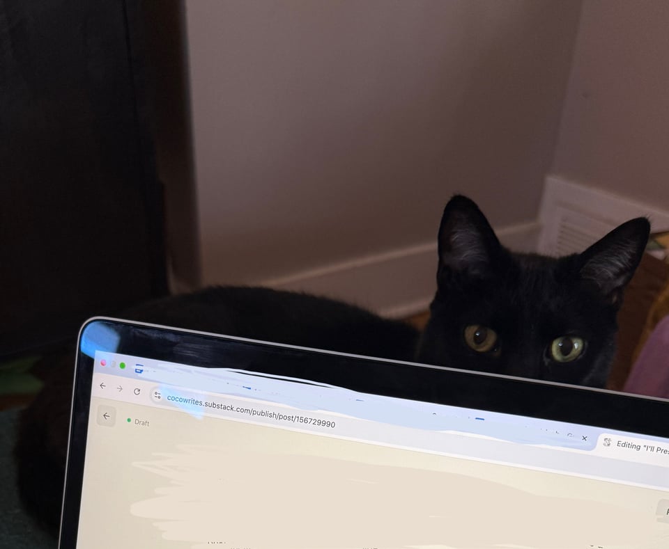 A picture of a black cat with golden eyes looking over the top of a laptop