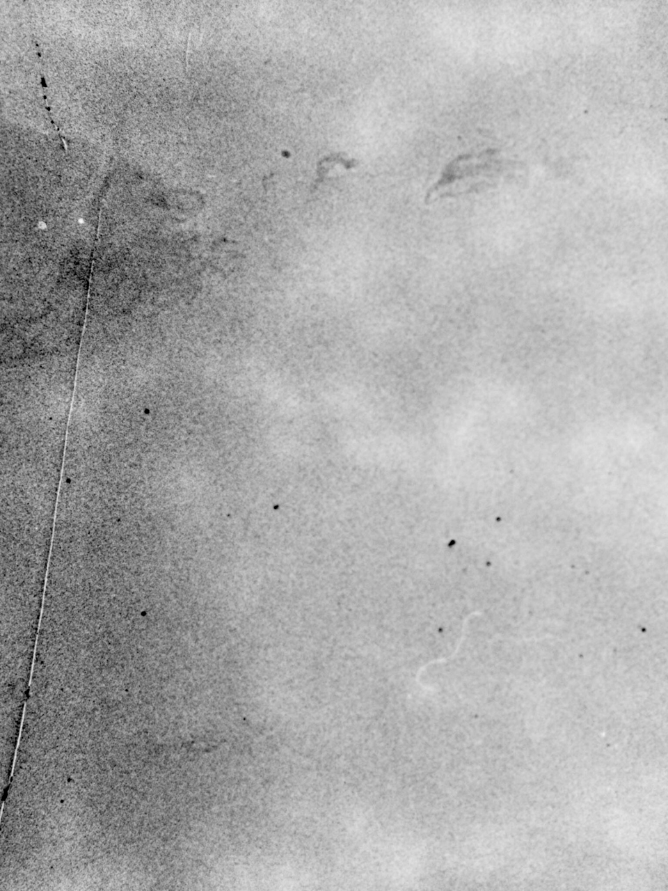 A photograph that is nothing but a field of fuzzy grey static. Patches of the grey are nearly white; others have a grainy darkness, so they almost look like a closeup of old parchment paper. There are a few tiny black dots speckling parts of the image, and on the far left hand side, a long white line that looks almost like a vein on a leaf