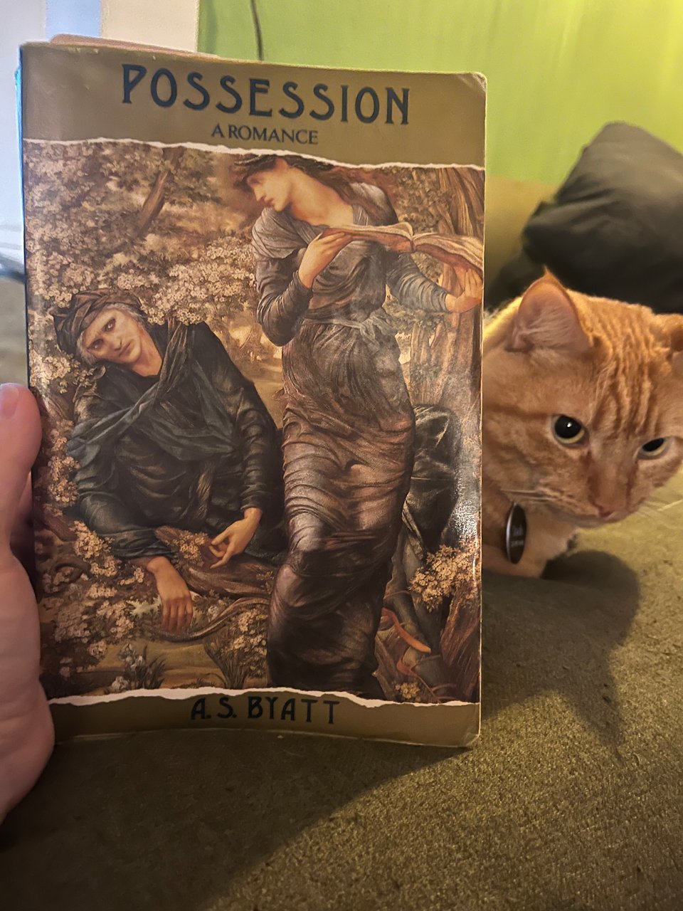 A white person's hand holds a large paperback book in front of an orange tabby cat on a couch.