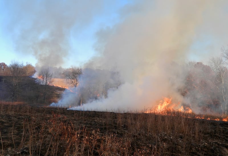 November is often prime time for prairie burns. What turns black in November turns green, green, so many shades of green, in April and May. / Photo by Steve Dietz