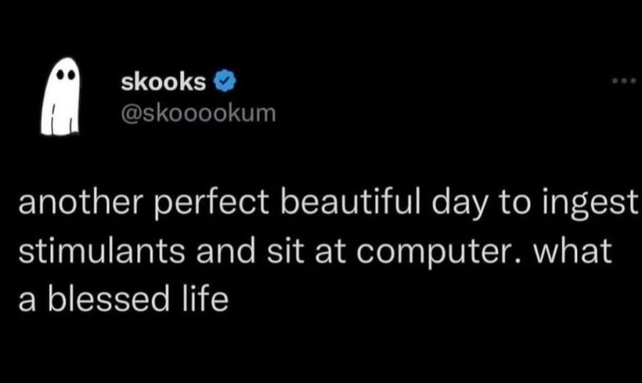 @skooookum: another perfect beautiful day to ingest simulants and sit at computer. What a blessed life