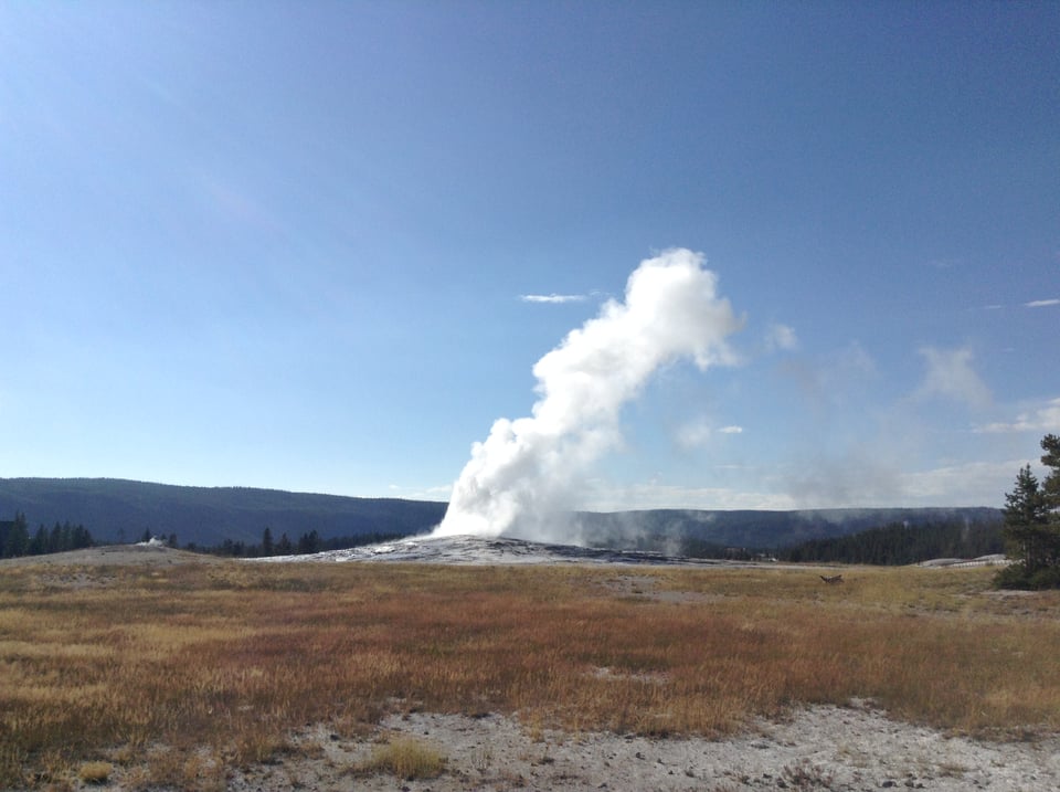 A Yellowstone geyser.
