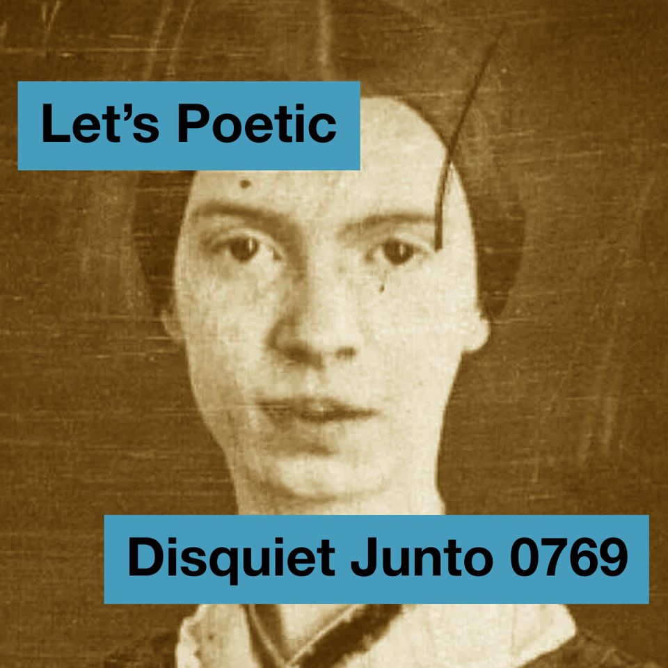 Old photo of Emily Dickinson plus the name and number of the project