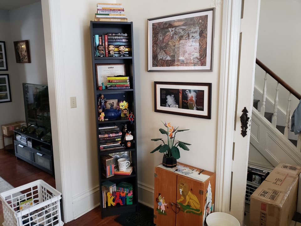 the view from my desk: a narrow bookshelf, a map of Thedas, a lego bird of paradise, and the narnia bookshelf my cousin painted for me in 1991