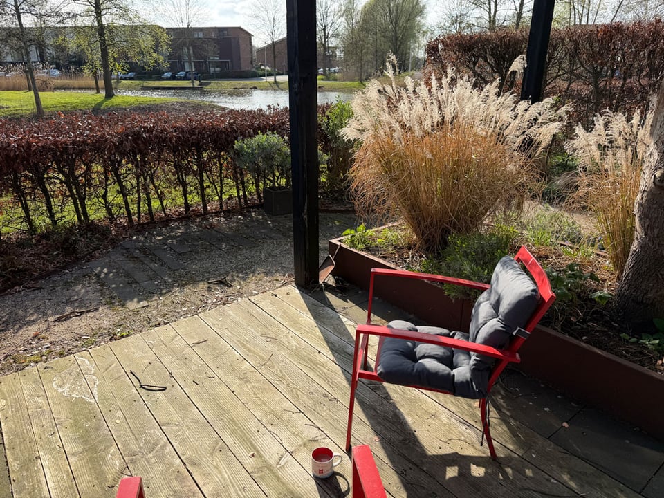 Two red chairs are sitting in the back garden. A cup of coffee is on the ground.