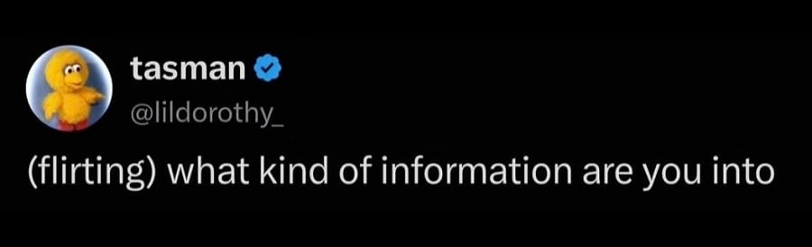 Twitter screenshot from @lildorothy_

(flirting) what kind of information are you into