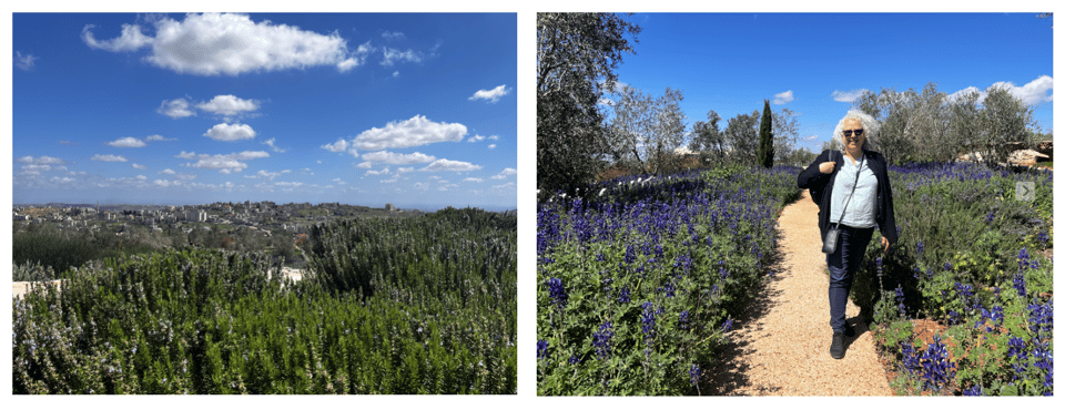 Two images of gardens one of a vast landscape against a blue sky with white clouds; in the second, a woman (me) standing amidst the plants
