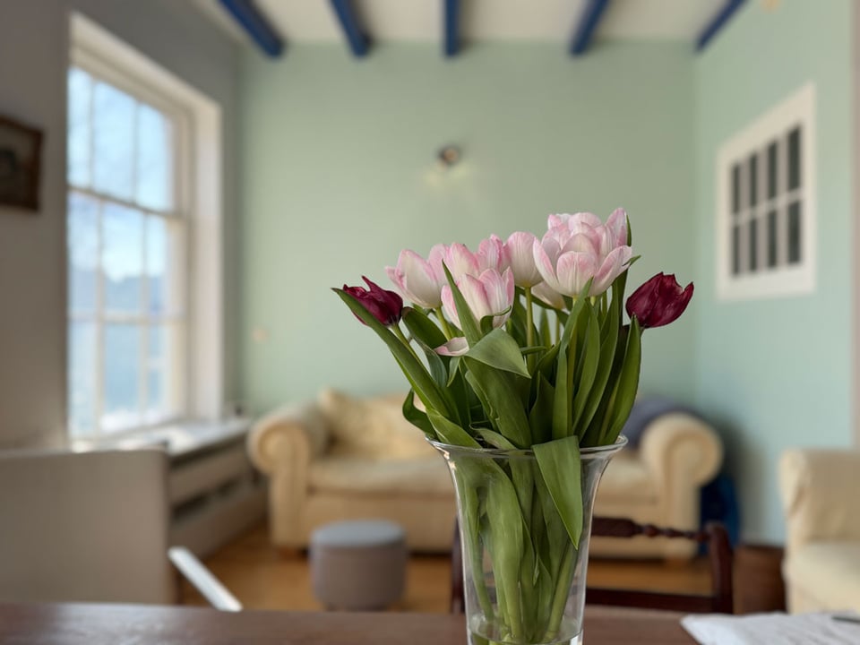 Pink and red tulips are in a vase on a table in a room with pale green walls.