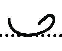 The Teeline WN blend