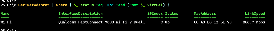 My primary network adapter