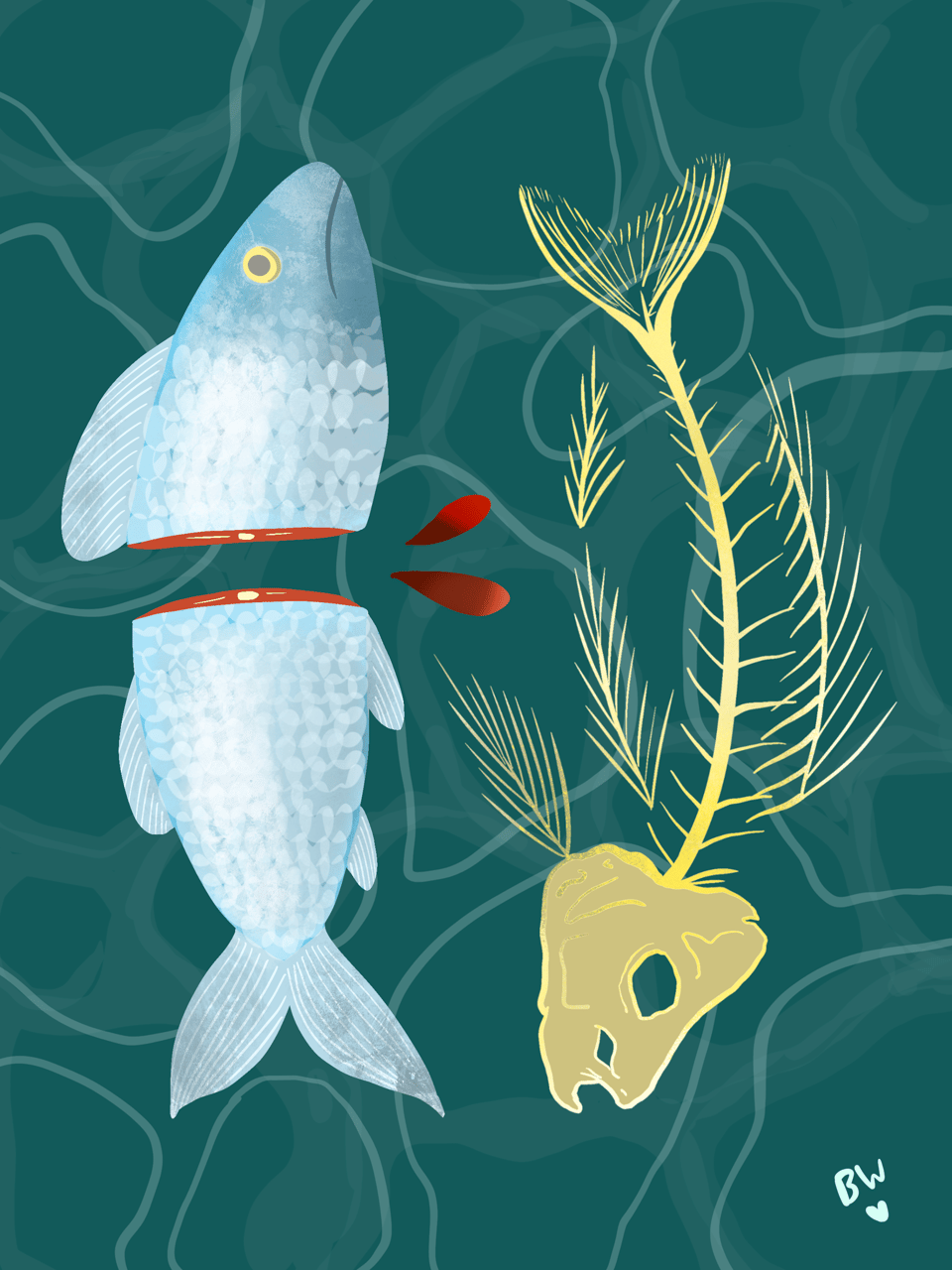 A dark teal background that looks like the surface of water. There are two fish opposite each other, one is just a fish skeleton, and the other is a fish that has been chopped in half.