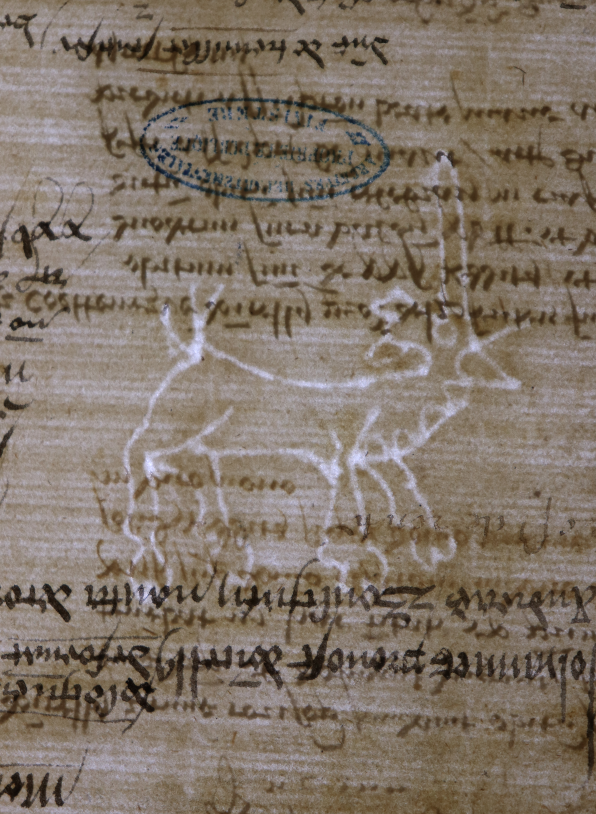 Une licorne blanche en filigrane dans un manuscrit medieval