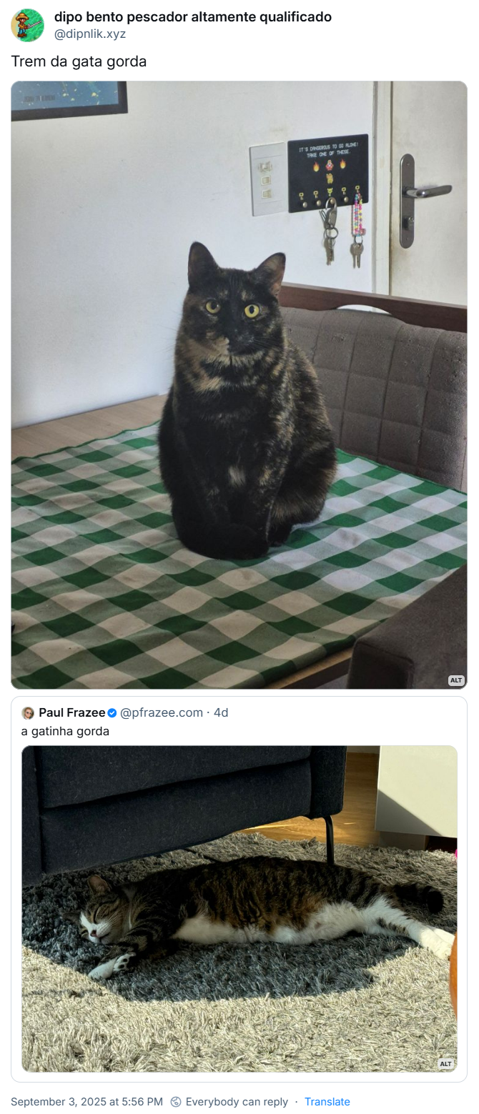 Post de dipo bento pescador altamente qualificado (@dipnlik.xyz) com o texto: Trem da gata gorda (Foto da gata Ryne sentada em forma de coxinha em uma toalha xadrez verde e branca. Dá pra ver uma cadeira de madeira cinza e chaves penduradas ao lado de uma porta). Ele cita o post do Paulinho!