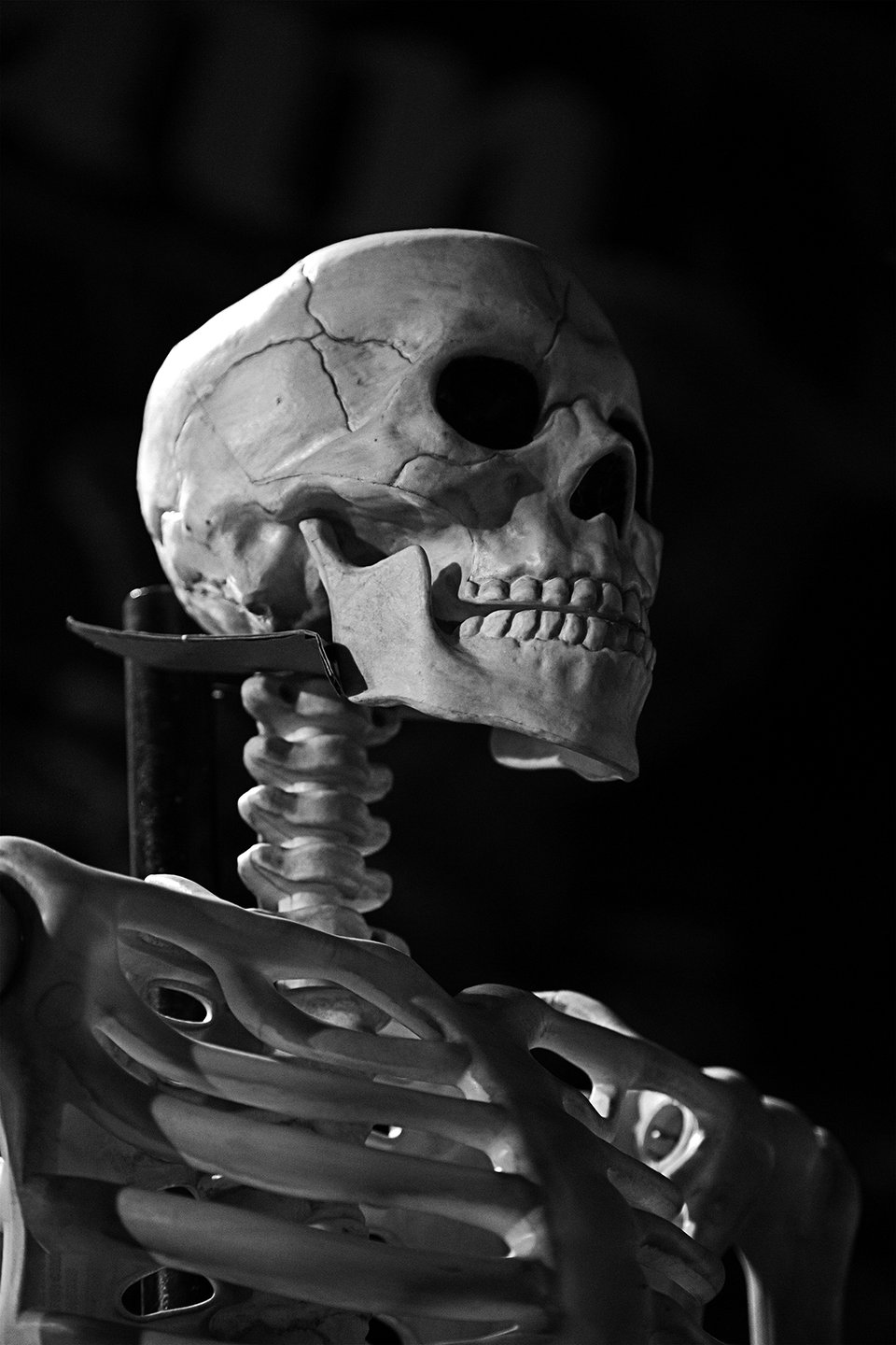 Photograph by Joel Markham, Desire, 2017