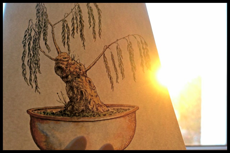 zdjęcie rysunku drzewka bonsai na tle słońca