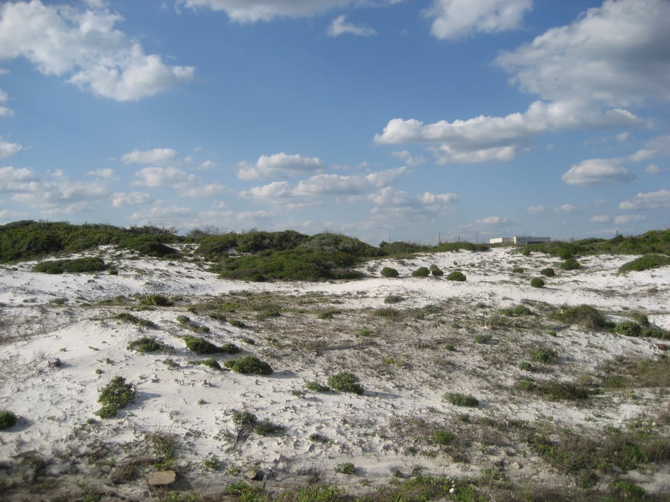 An expanse of shrubby dunes with white sand