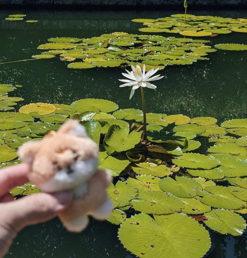 A good goodbye to 2025