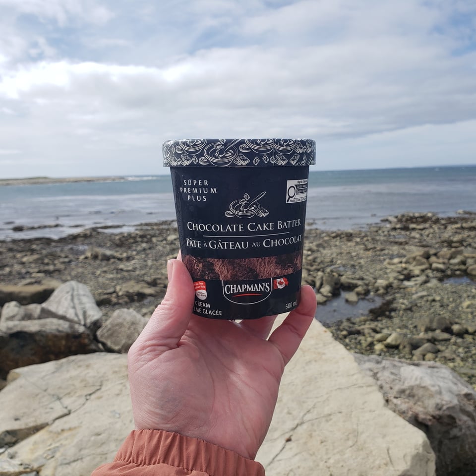 the pint of ice cream i had for breakfast the morning after dad died