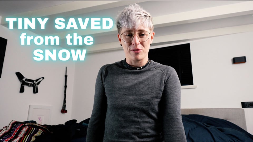 Cover image for “Tiny Saved from the Snow!”
