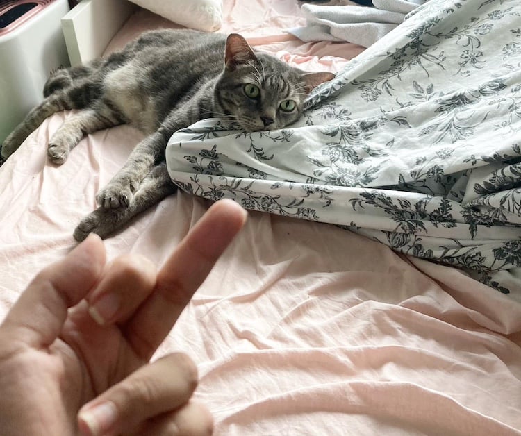 A photo of Nadia flipping Luca off while he rests his head on my foot.