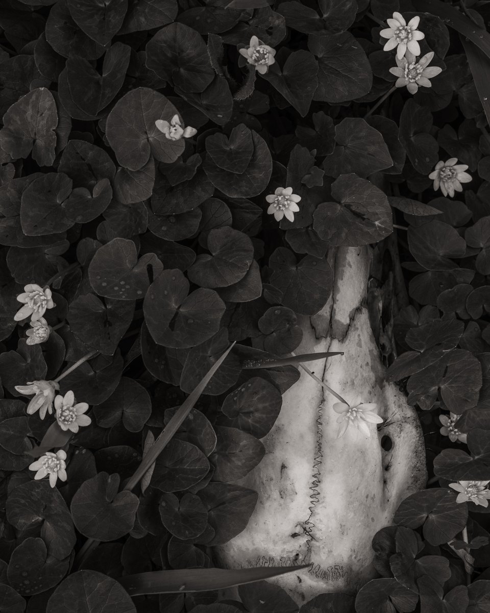 Memento-2.jpg