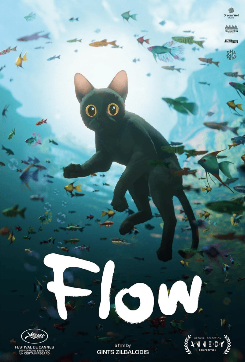 Cat swimming with fishes
