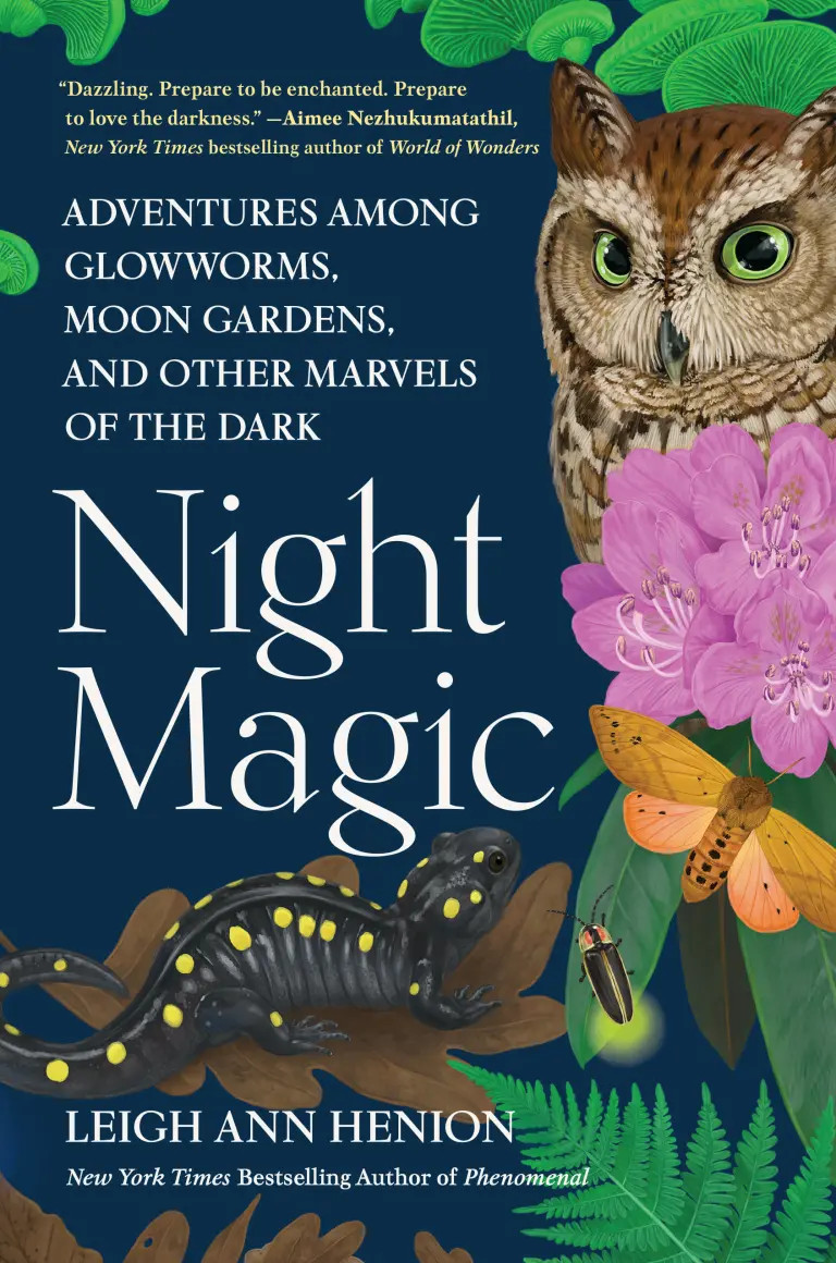 Creaturs at night, including a moth, salamander, firefly, and owl among ferns and other plants