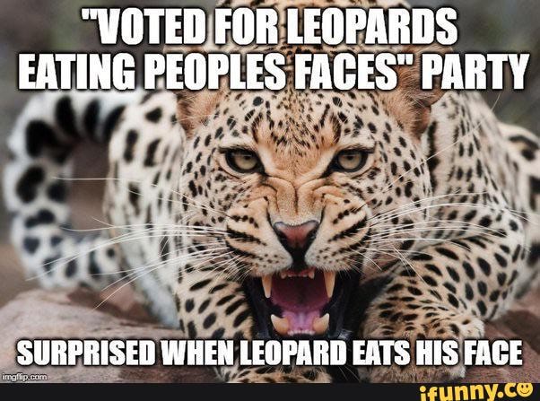 Meme. Picture of snarling leopard. Text at top reads: Voted for leopards eating people's faces party. Text at bottom reads: Surprised when leopard eats his face.