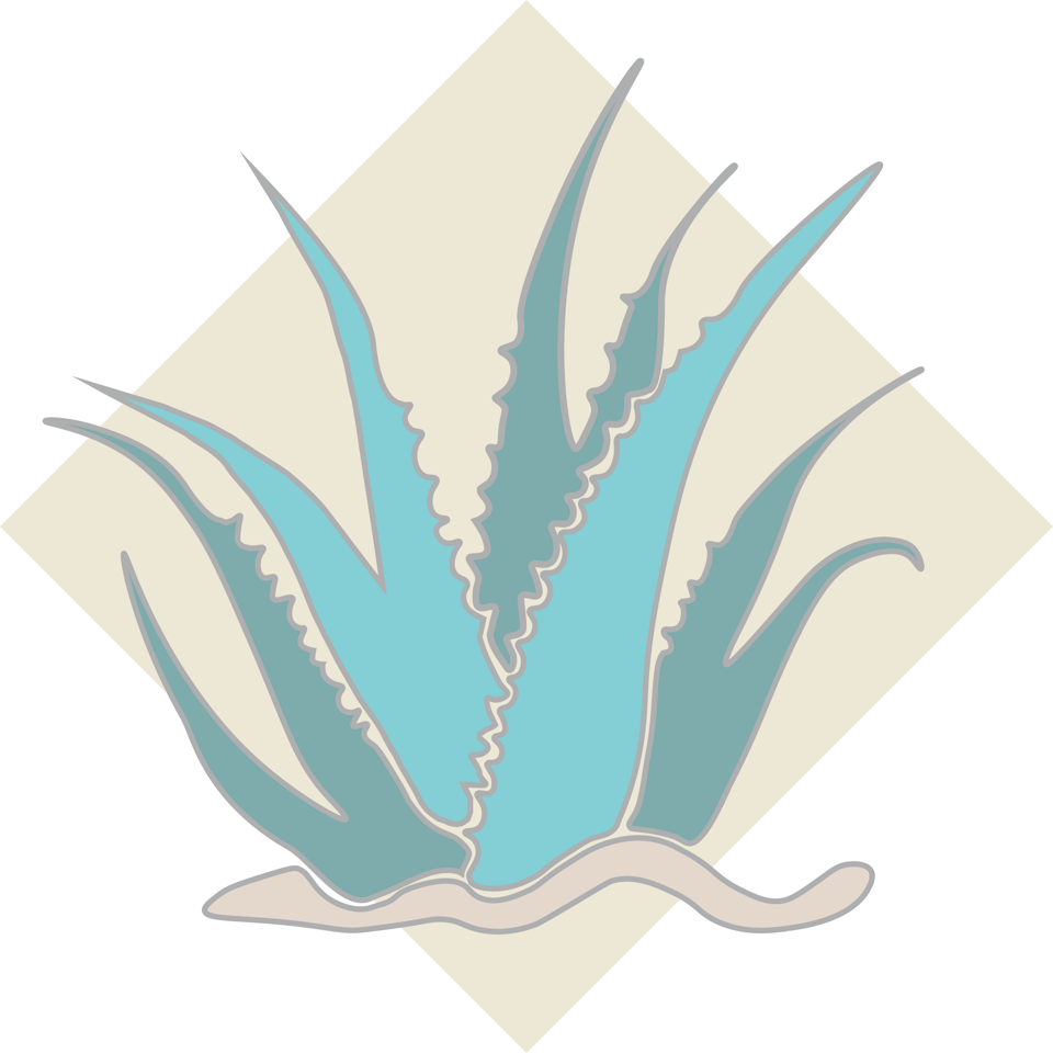 Abstract illustration of aloe vera in the colours of the university of aruba (teal and beige).