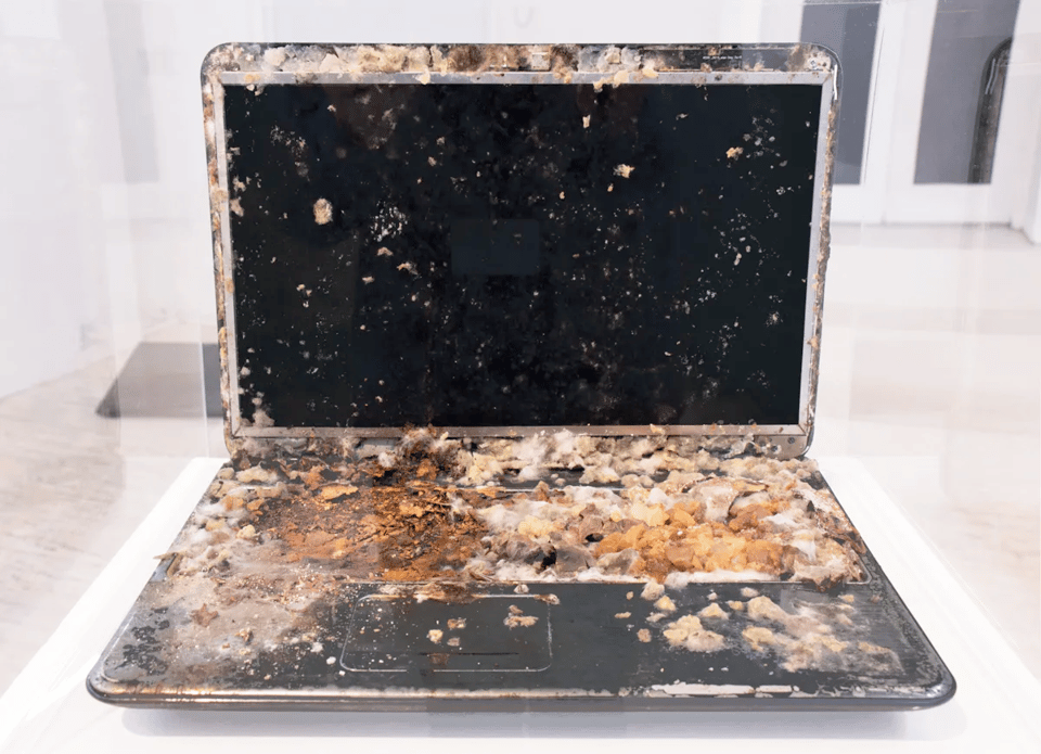 a photo of a laptop computer covered in brown and white mold