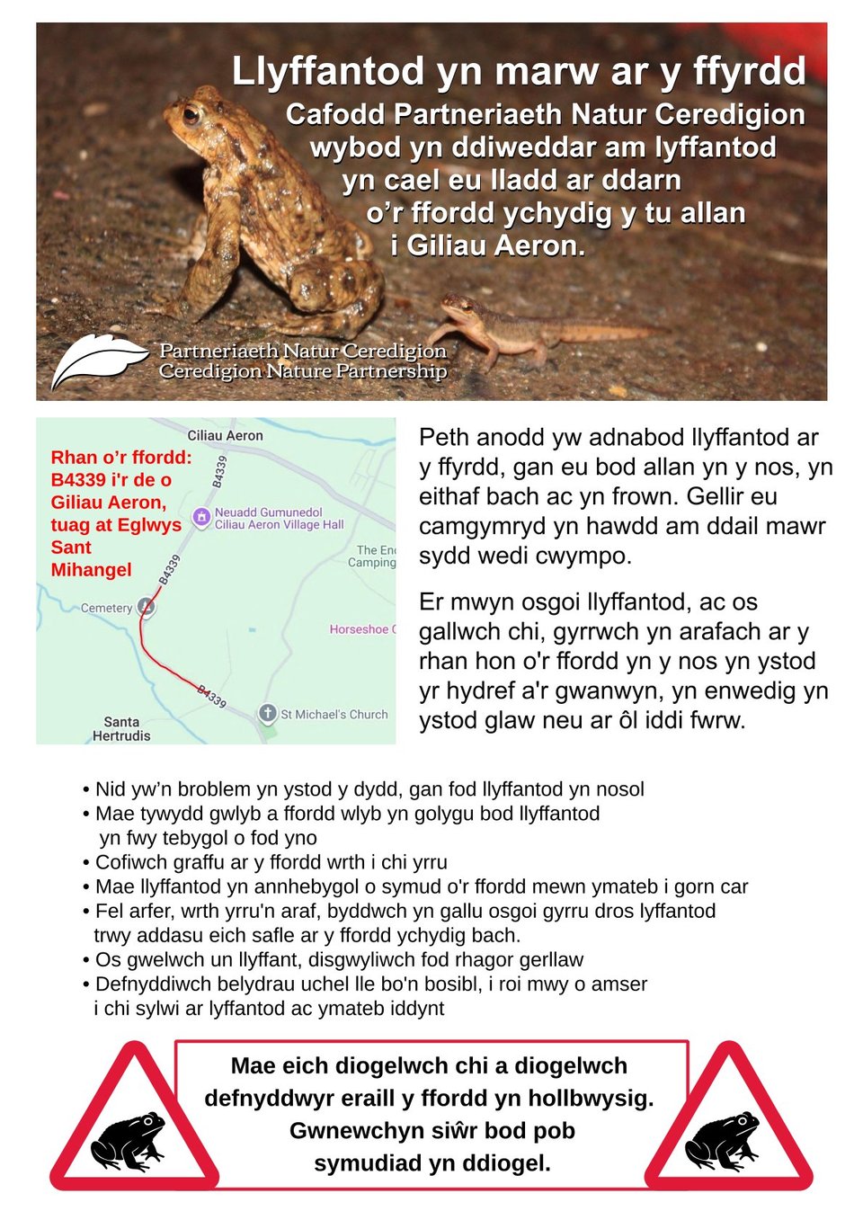 Poster ar gyfer Llyffantod yn marw ar y ffyrdd